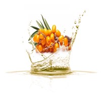 Φυτικό Λάδι Ιπποφαές  